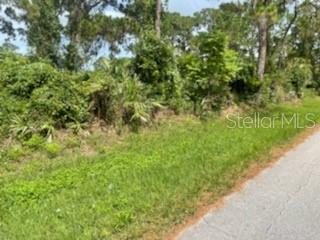 Florida Shores 01 - Land