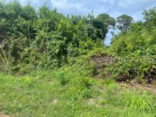 Florida Shores 01 - Land