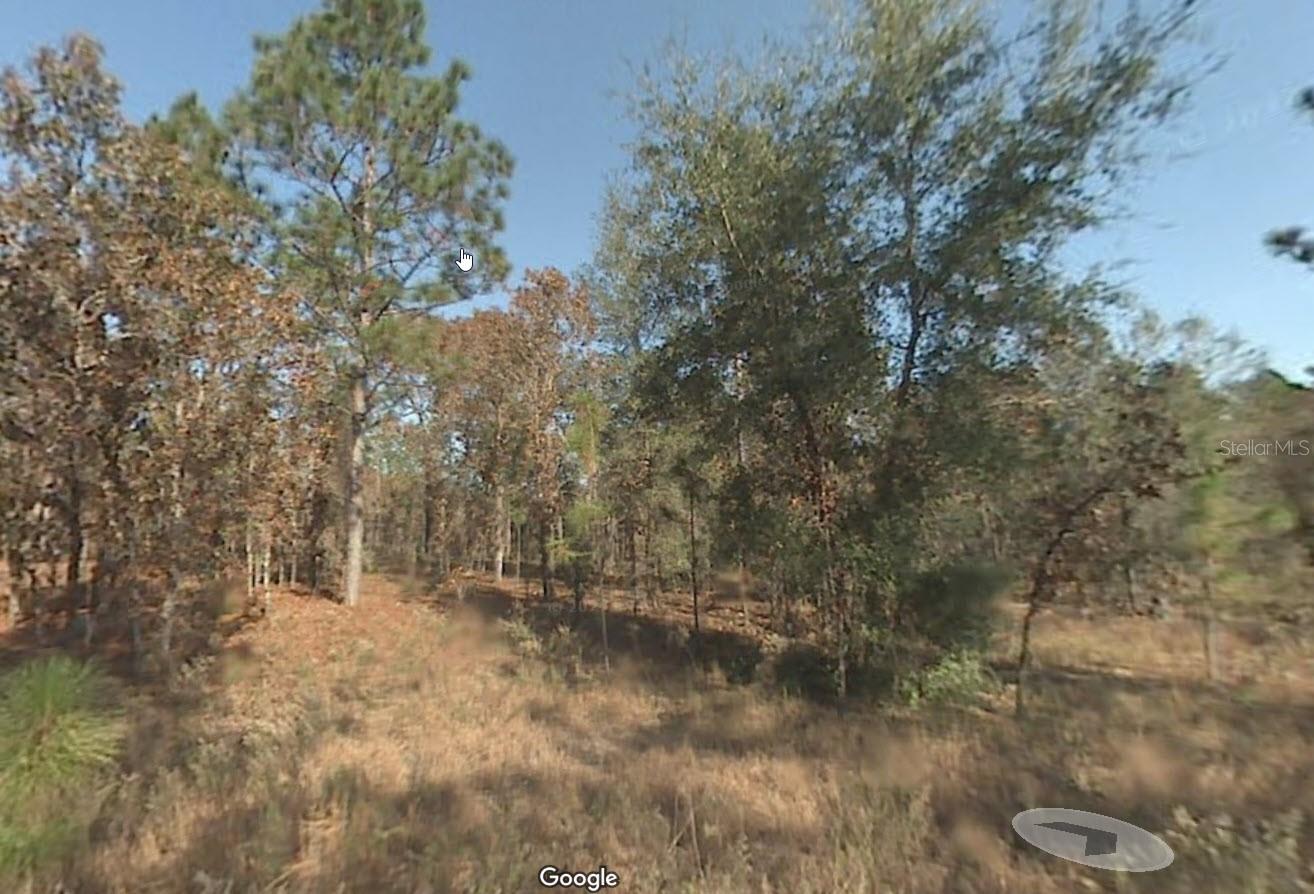 3 lots adjacent lots in Rainbow Acres that are ~.23 acres. Buy 1 for $15,000, two $27,500 or all three for $39,495. Situated just off Hwy. 40
between Downtown Dunnellon and Ocala offering a quiet country setting, yet just minutes from city conveniences. Area of new and existing
construction - homes only. NOTE: These lots are currently combined into a single APN and are in the process of being split. Once the split is
complete, the plat map will be made available to prospective buyers.