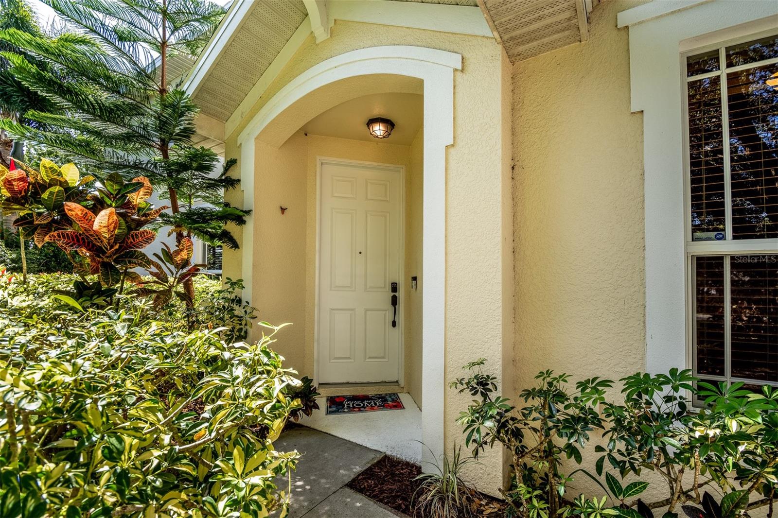 HARBOR RIDGE OF PALM HARBOR - Residential