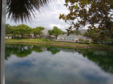 A home in PALM HARBOR