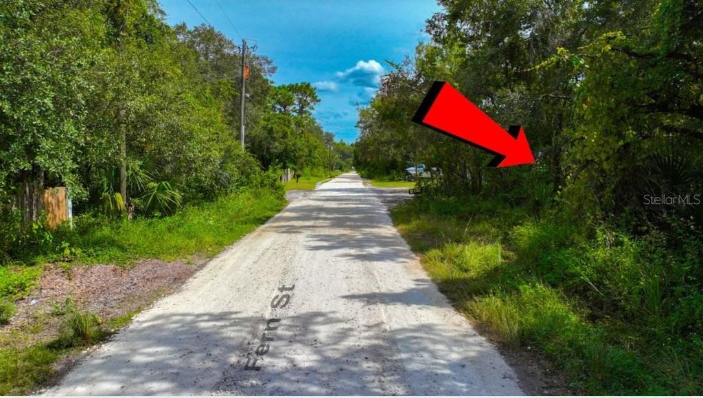Photo of Tbd Fern Street, New Port Richey, FL 34654 (MLS # A4665761)