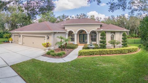 A home in LITHIA