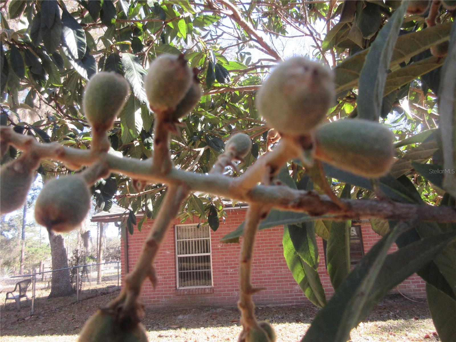 WOODS & LAKES SUB - Residential