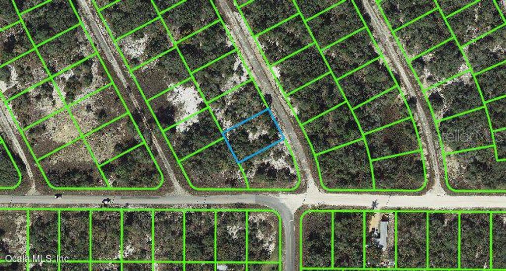 Photo of 202 Deep Purple Drive, Lake Placid, FL 33852 (MLS # OM542083)