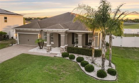 Photo of 4294 Tigris Drive, Apopka, FL 32712 (MLS # O6407811)