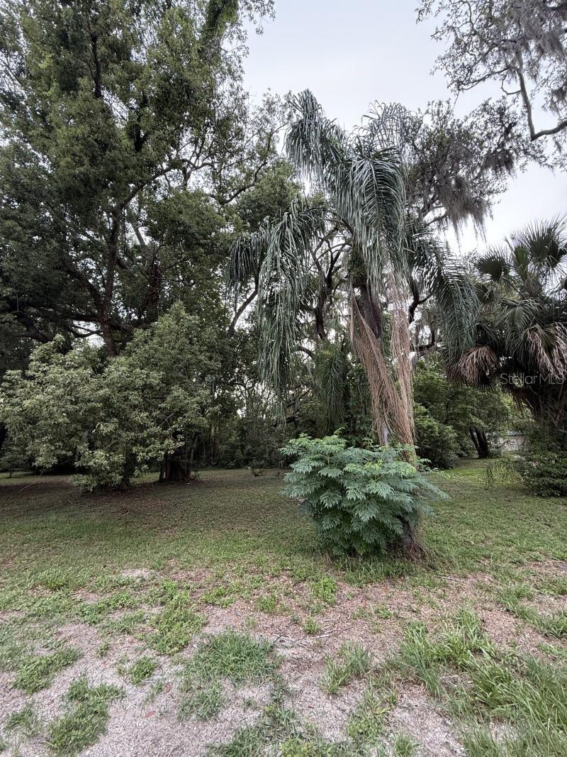 472 FOREST LAKE DRIVE