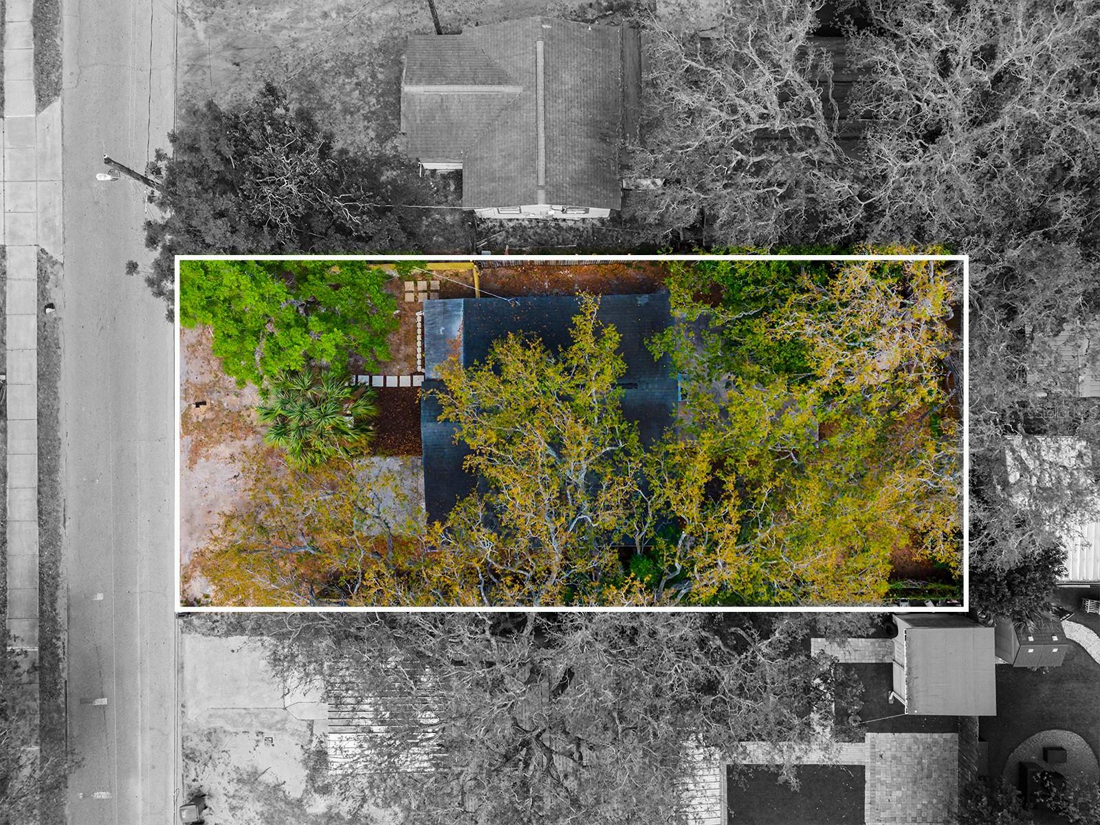 TAMPA OVERLOOK - Residential