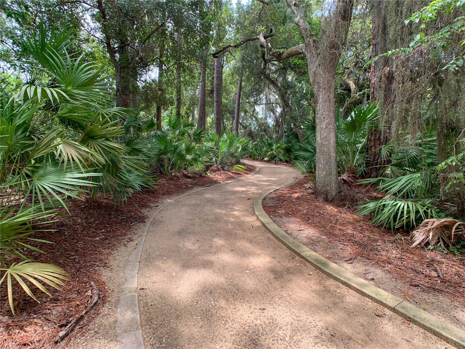 TIDELANDS - Residential