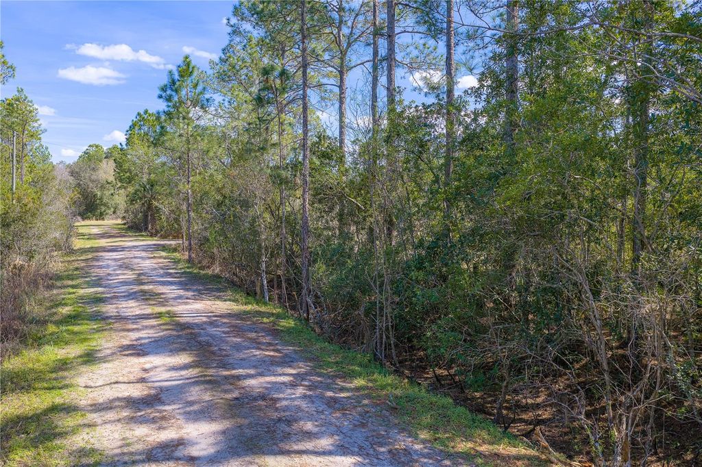Photo of 480 Pasture Road, De Leon Springs, FL 32130 (MLS # OM719895)