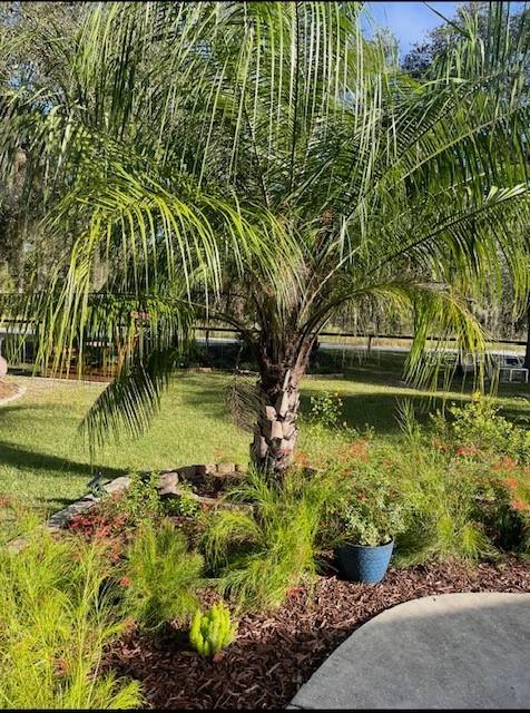 8135 SW 125TH TERRACE