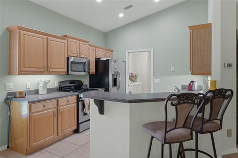 Tiny photo for 1080 W Skyview Crossing Drive, Hernando, FL 34442 (MLS # OM725782)