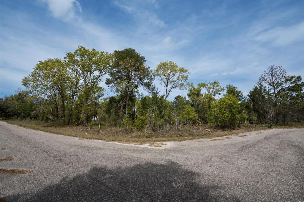 Photo of Guava Pass Way, Ocklawaha, FL 32179 (MLS # O6240045)