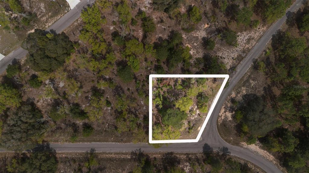 Photo of Guava Pass Way, Ocklawaha, FL 32179 (MLS # O6240045)