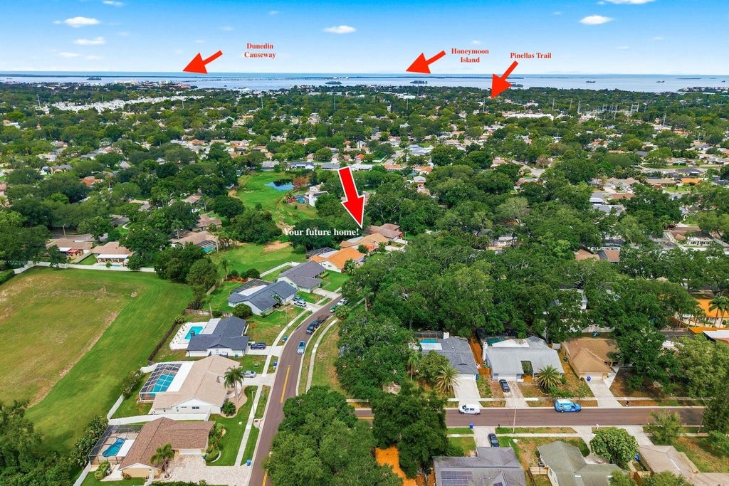 Photo of 341 Arbor Drive W, Palm Harbor, FL 34683 (MLS # TB8517549)