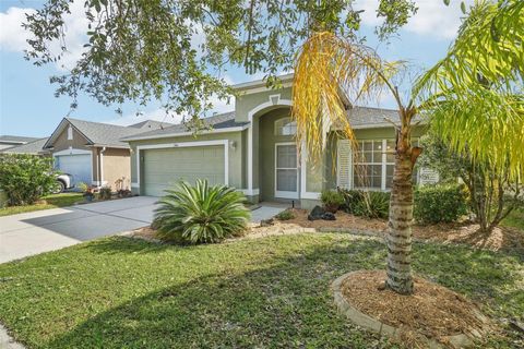 7444 TOWER BRIDGE DRIVE WESLEY CHAPEL FL 33545