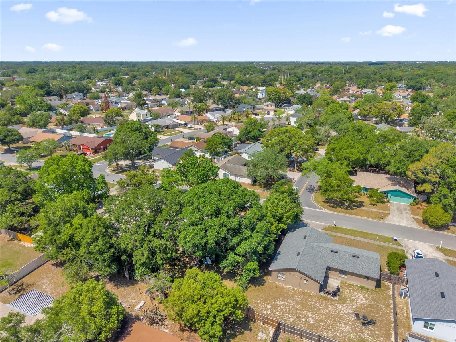 GROVEVIEW VILLAGE 1ST ADD REP - Residential