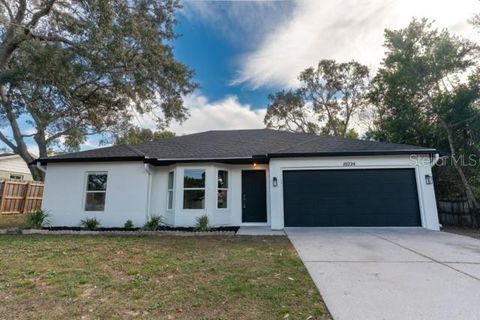 Photo of 10224 Bannister Street, Spring Hill, FL 34608 (MLS # W7881514)