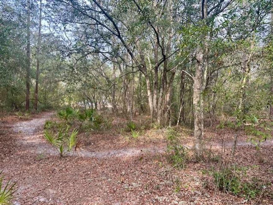 1.04 ACRES in Suwannee River Estates South! This wooded lot would be the perfect homesite for either your mobile home or site-built home, as there are no deed restrictions and no HOA. Clear as much or as little as you'd like! Located in flood zone X, this lot is high and dry! Gilchrist County offers lower property taxes and "A" rated schools. Call today for more details!