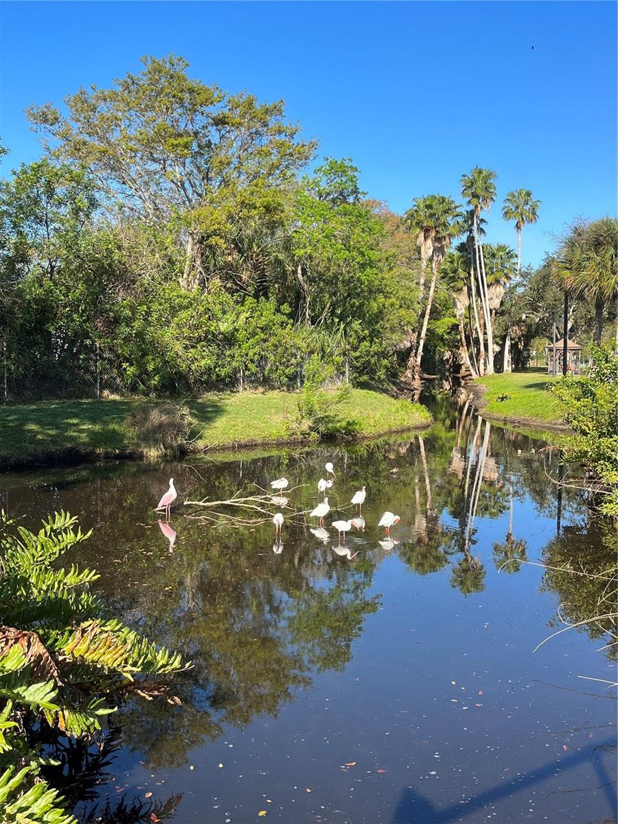 BEACHWALK CONDO GULFPORT - Residential