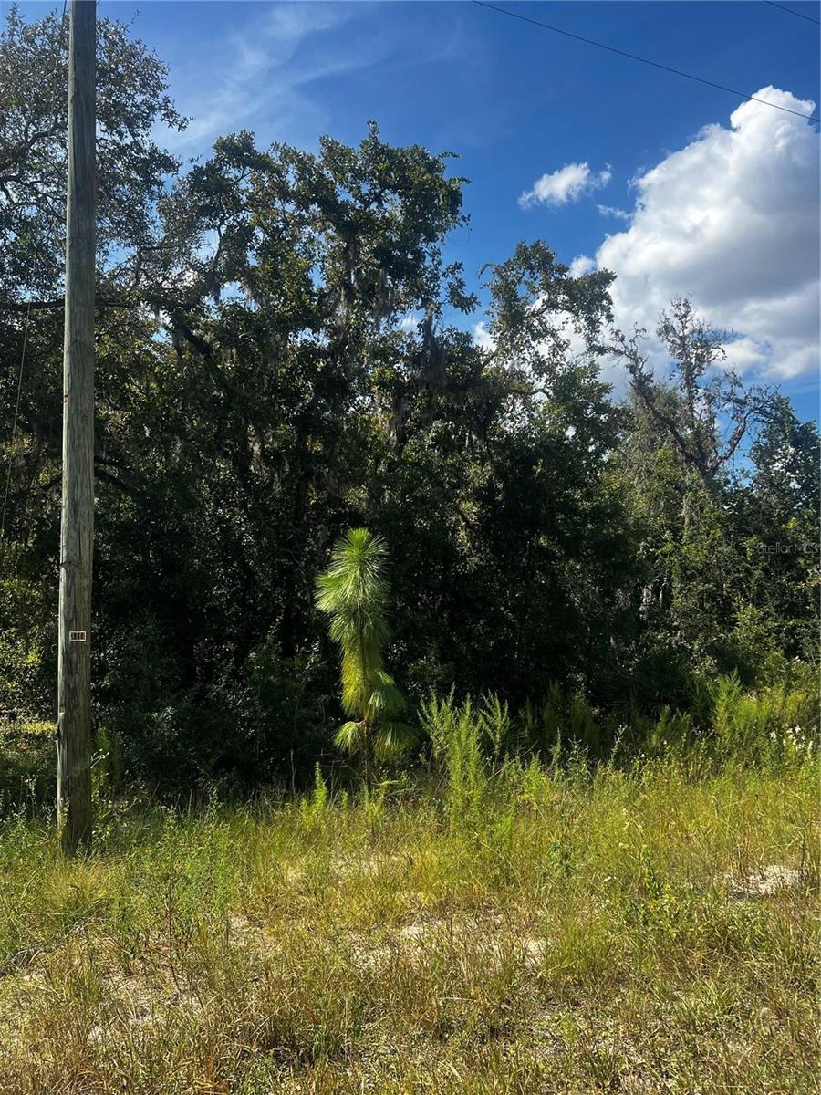 Photo of 0 Crider Road, Weeki Wachee, FL 34614 (MLS # TB8548191)