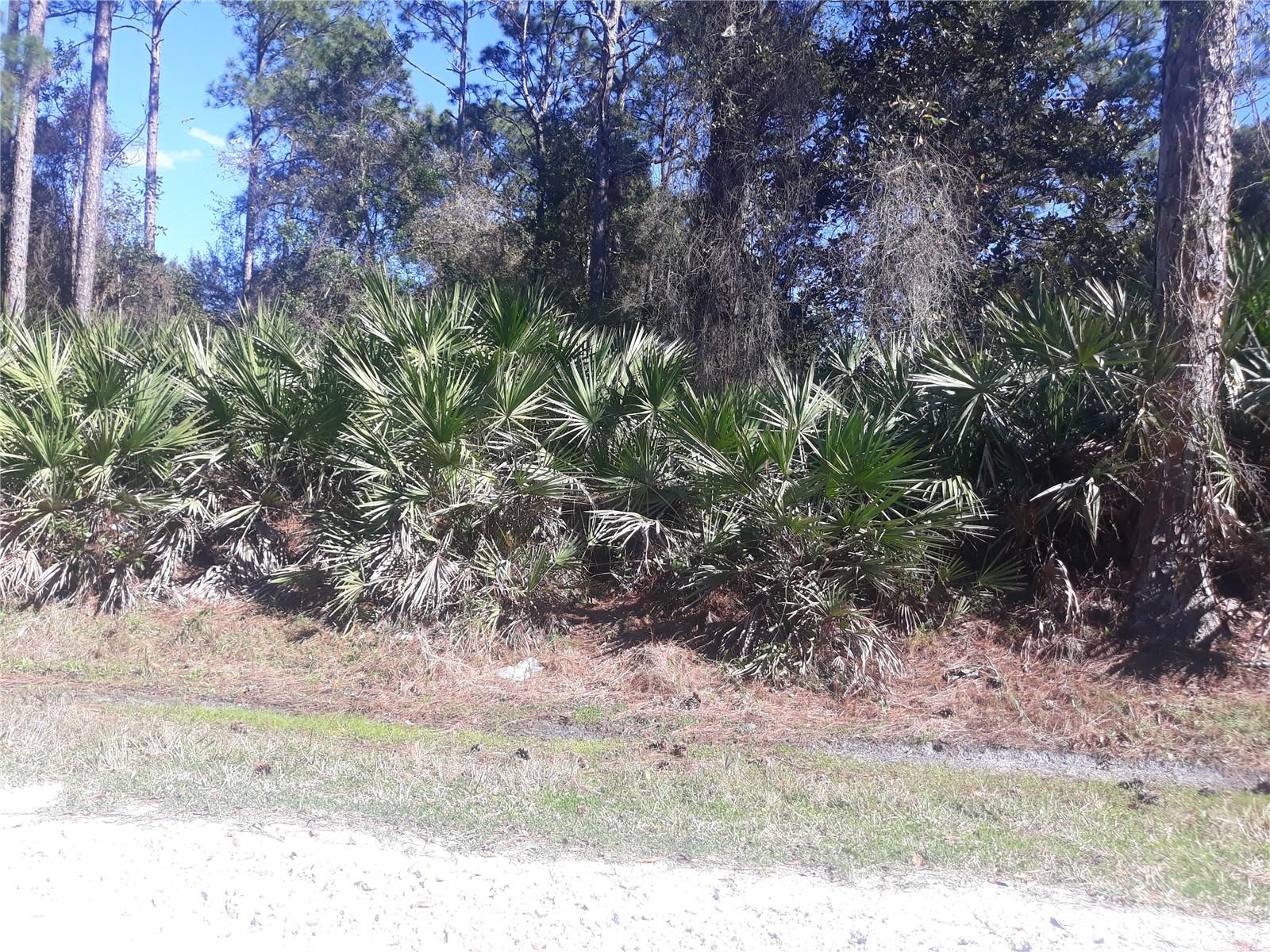 DAYTONA PARK ESTATES SEC B - Land