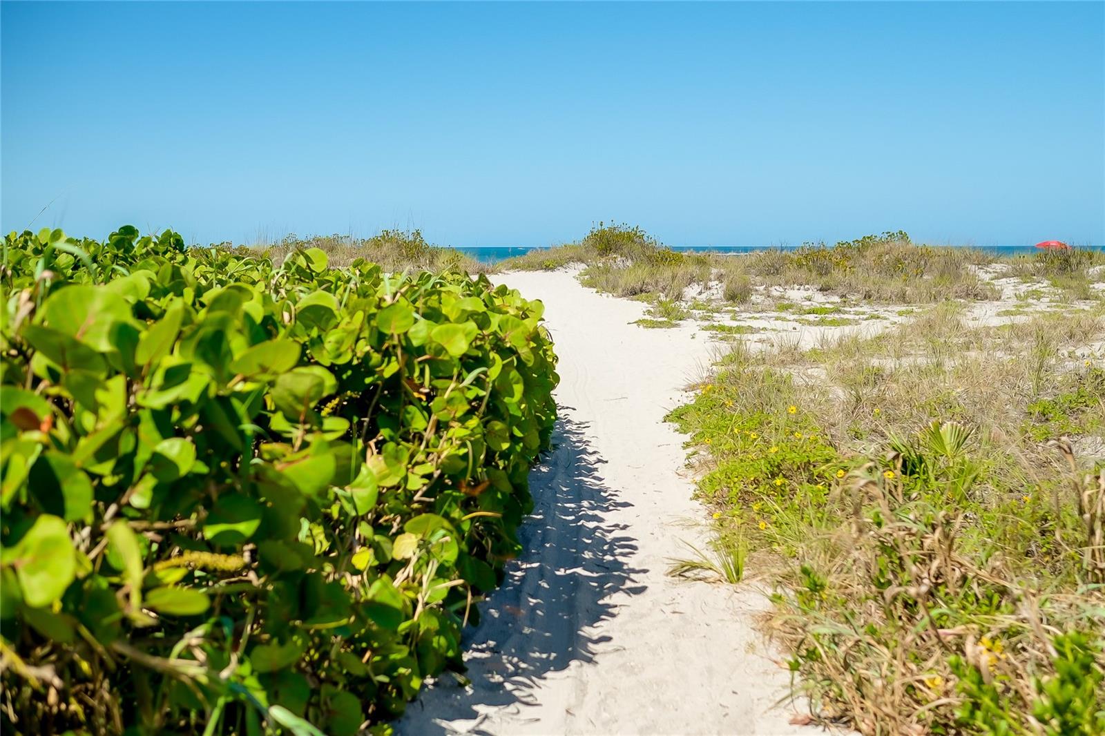 SARASOTA NATIONAL PH 1B R - Residential