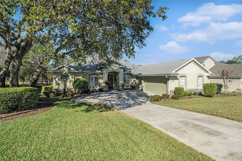 Tiny photo for 19 Ryewood Circle, Homosassa, FL 34446 (MLS # O6361198)
