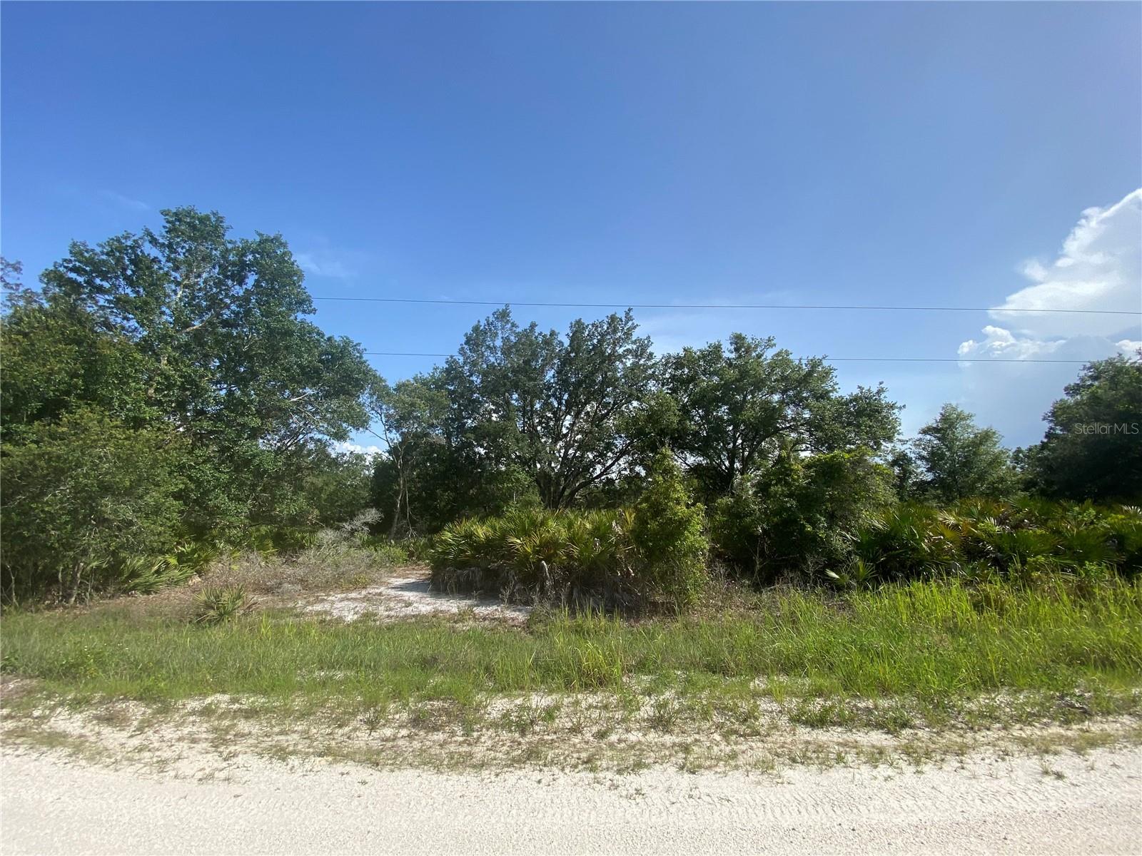 Dreaming of space to spread out and build your vision? This oversized lot offers just that—1.13 acres of peaceful Florida landscape, perfect for your custom home. Located in the established Avon Park Estates Unit 2, this property gives you the freedom to create off-grid or explore well/septic solutions. While public water and sewer are not currently available, the size and location offer excellent value and opportunity for those ready to think outside the box!
