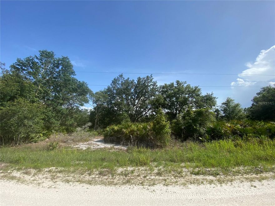 Dreaming of space to spread out and build your vision? This oversized lot offers just that—1.13 acres of peaceful Florida landscape, perfect for your custom home. Located in the established Avon Park Estates Unit 2, this property gives you the freedom to create off-grid or explore well/septic solutions. While public water and sewer are not currently available, the size and location offer excellent value and opportunity for those ready to think outside the box!