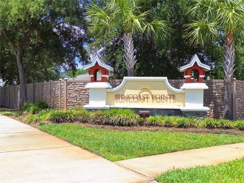 A home in LAND O LAKES