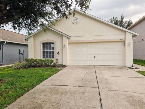 A home in LAND O LAKES