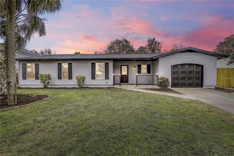 A home in DELTONA