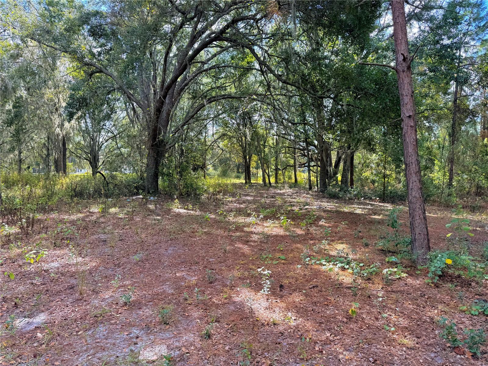 CLEARWATER RESERVE PH I SUB - Land