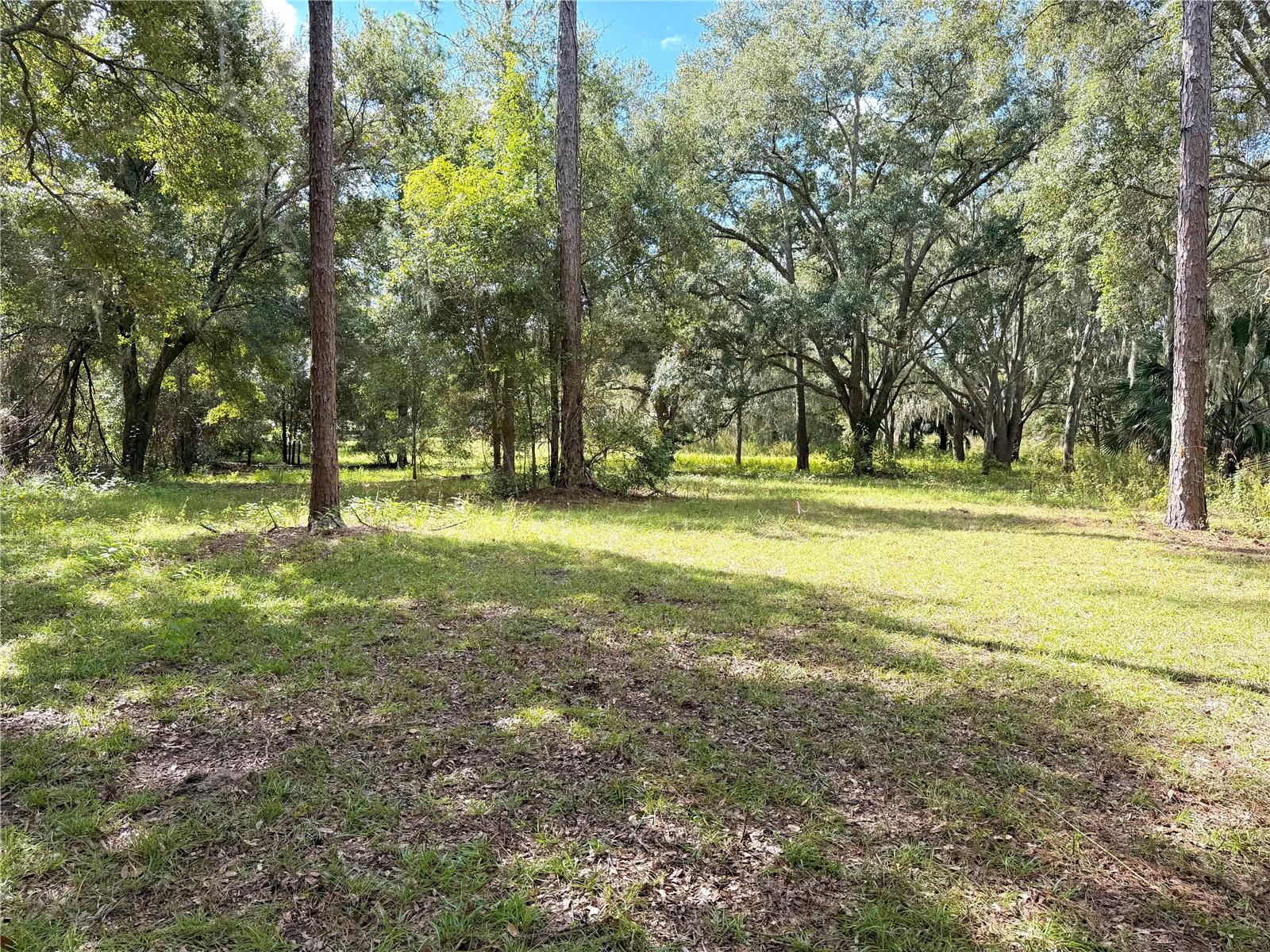 CLEARWATER RESERVE PH I SUB - Land