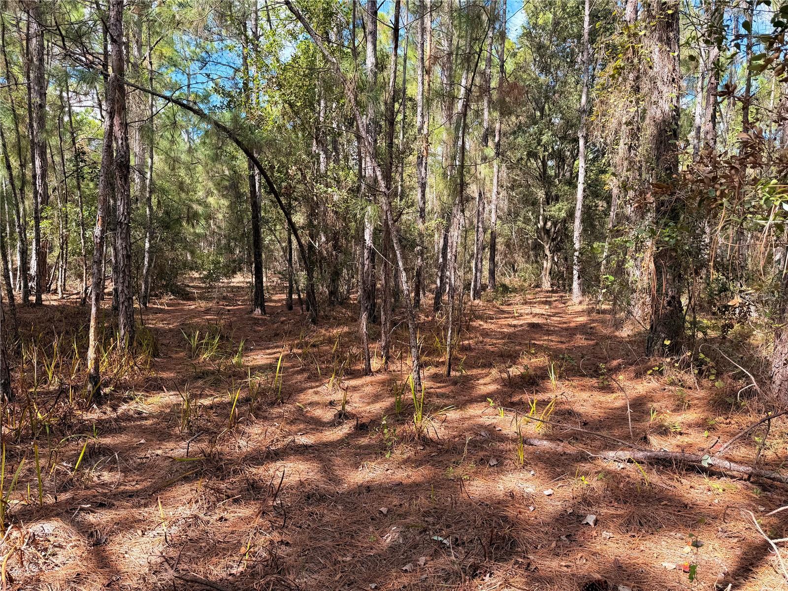 CLEARWATER RESERVE PH I SUB - Land