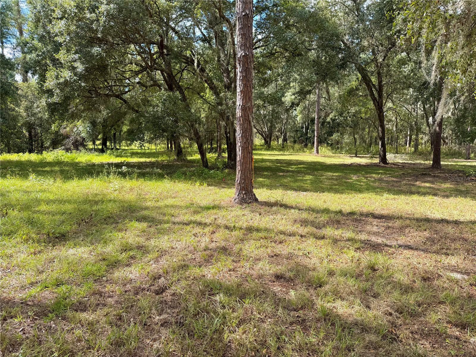 CLEARWATER RESERVE PH I SUB - Land