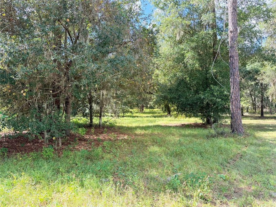 Prettiest Lot in the Reserve (of coarse you neighbor might argue this, as the whole reserve is gorgeous)! Located in the pristine community of Clearwater Reserve, this beautiful 10 acre piece has mature Oaks and Pines. This community is a hidden gem in Lake County Florida, giving you the acreage and lake front you have longed for with peace and serenity awaiting your custom home to be built. Located near the Florida Turnpike. BOUNUS - SELLER IS THROWING IN A NEW POLARIS RANGER SIDE BY SIDE (ask for a picture to be sent), AND AN UNASSEMBLE SHED IN THE BOX 10x40
Community fishing dock and tennis courts. Not far from stores and the Florida Turnpike, yet rural enough to enjoy the country life you have been longing for.> 2.1 ACRES OF HIGH AND DRY LAND TO BUILD ON.