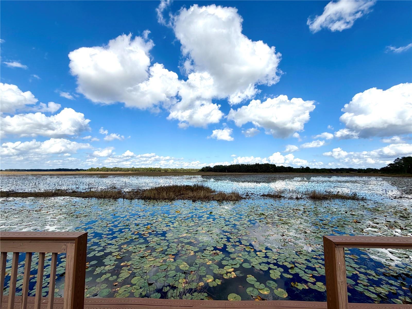 CLEARWATER RESERVE PH I SUB - Land