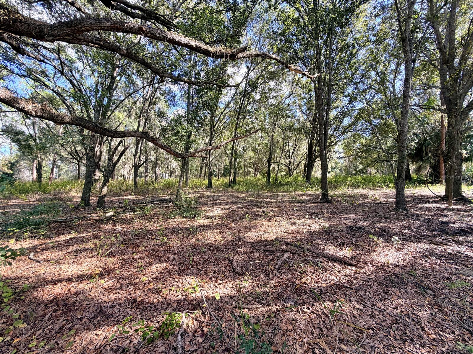 CLEARWATER RESERVE PH I SUB - Land