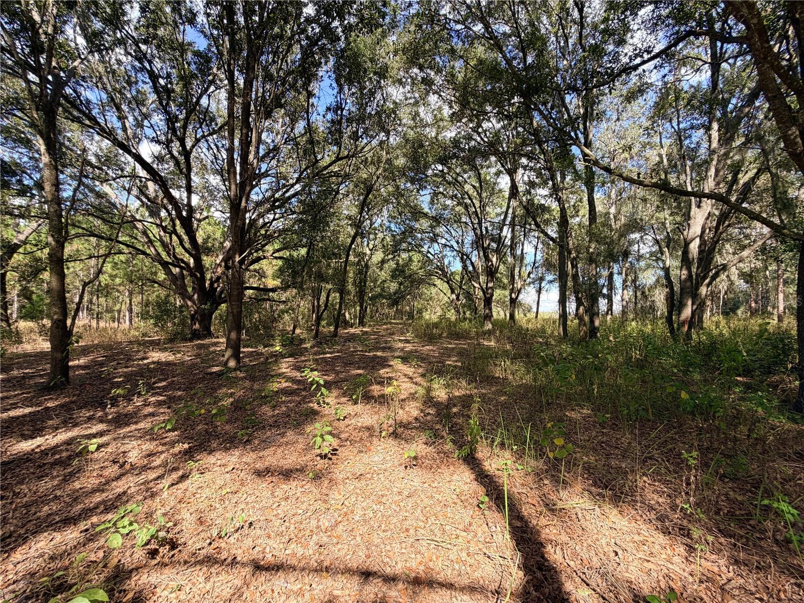 CLEARWATER RESERVE PH I SUB - Land