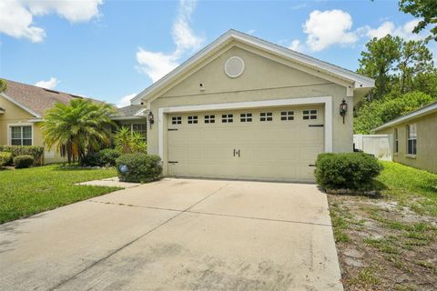 A home in WIMAUMA