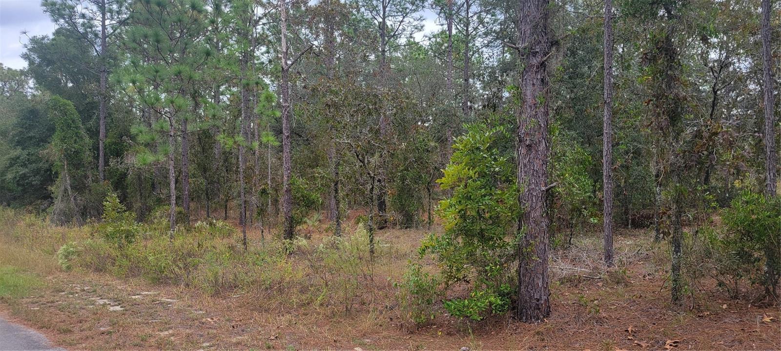 RAINBOW LAKES ESTATES - Land