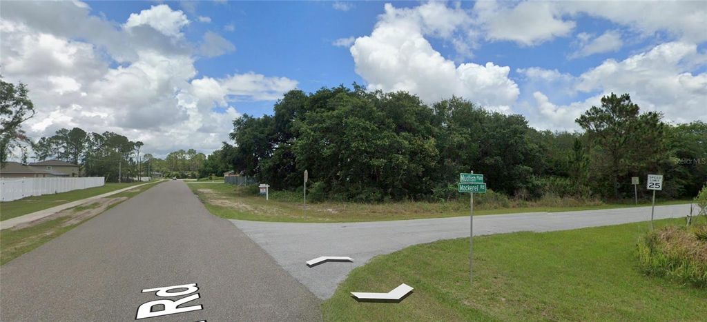 Photo of 1 Mudfish Place, Kissimmee, FL 34759 (MLS # OM714076)