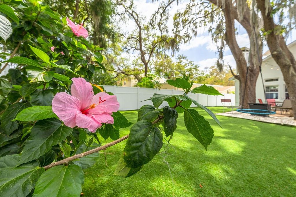 Photo of 901 Virginia Avenue, Tarpon Springs, FL 34689 (MLS # TB8497027)