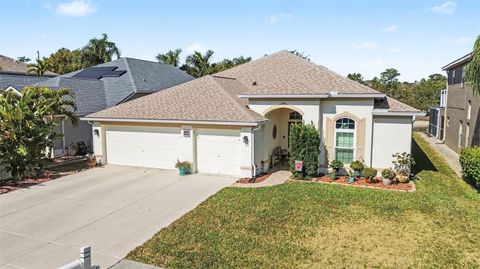 2529 EAGLE CREST COURT HOLIDAY FL 34691