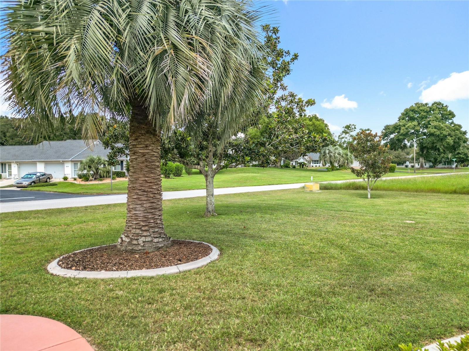 CITRUS HILLS/NEW MAYFIELD/ MEADOW VIEW - Residential