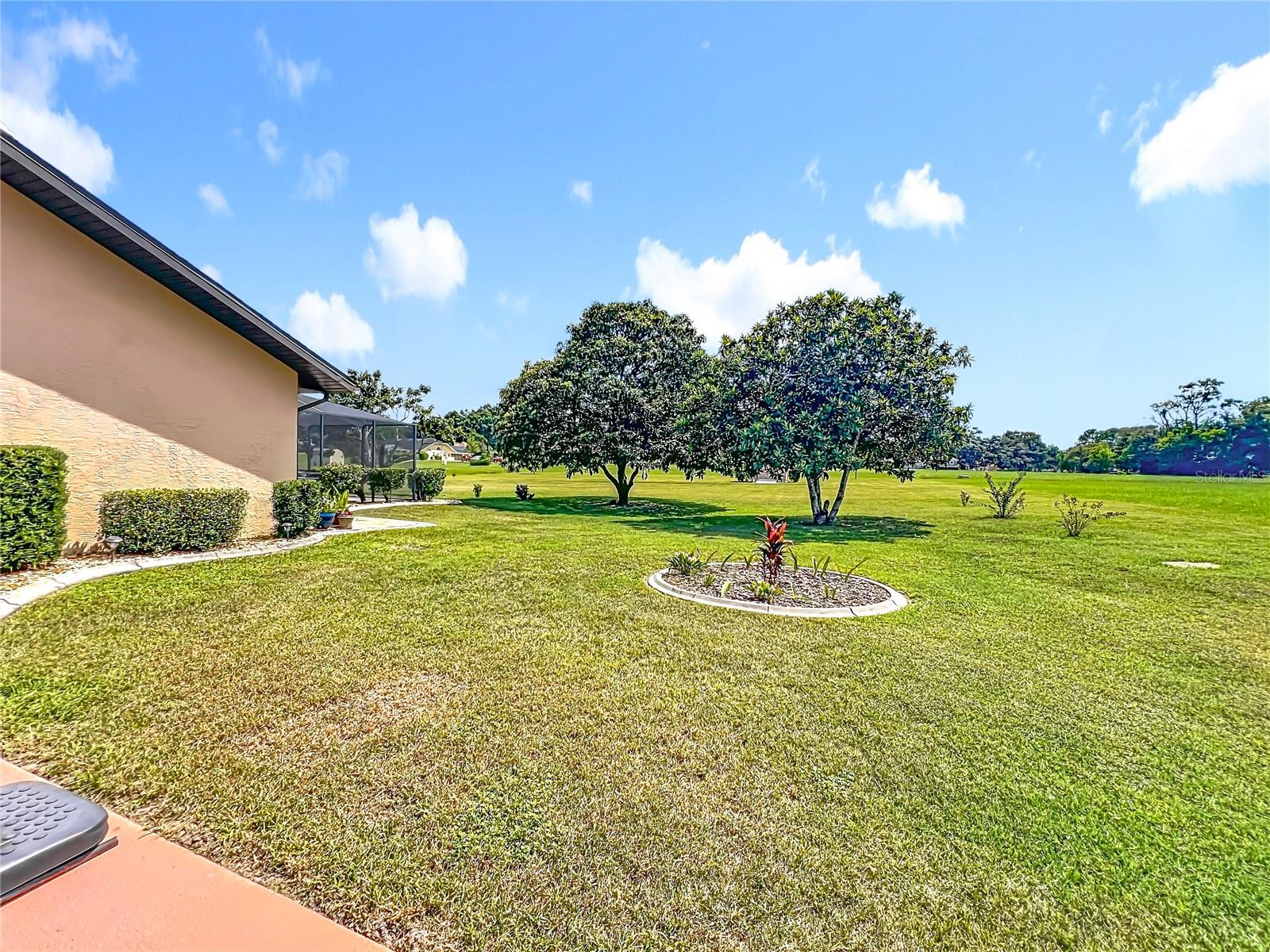 CITRUS HILLS/NEW MAYFIELD/ MEADOW VIEW - Residential