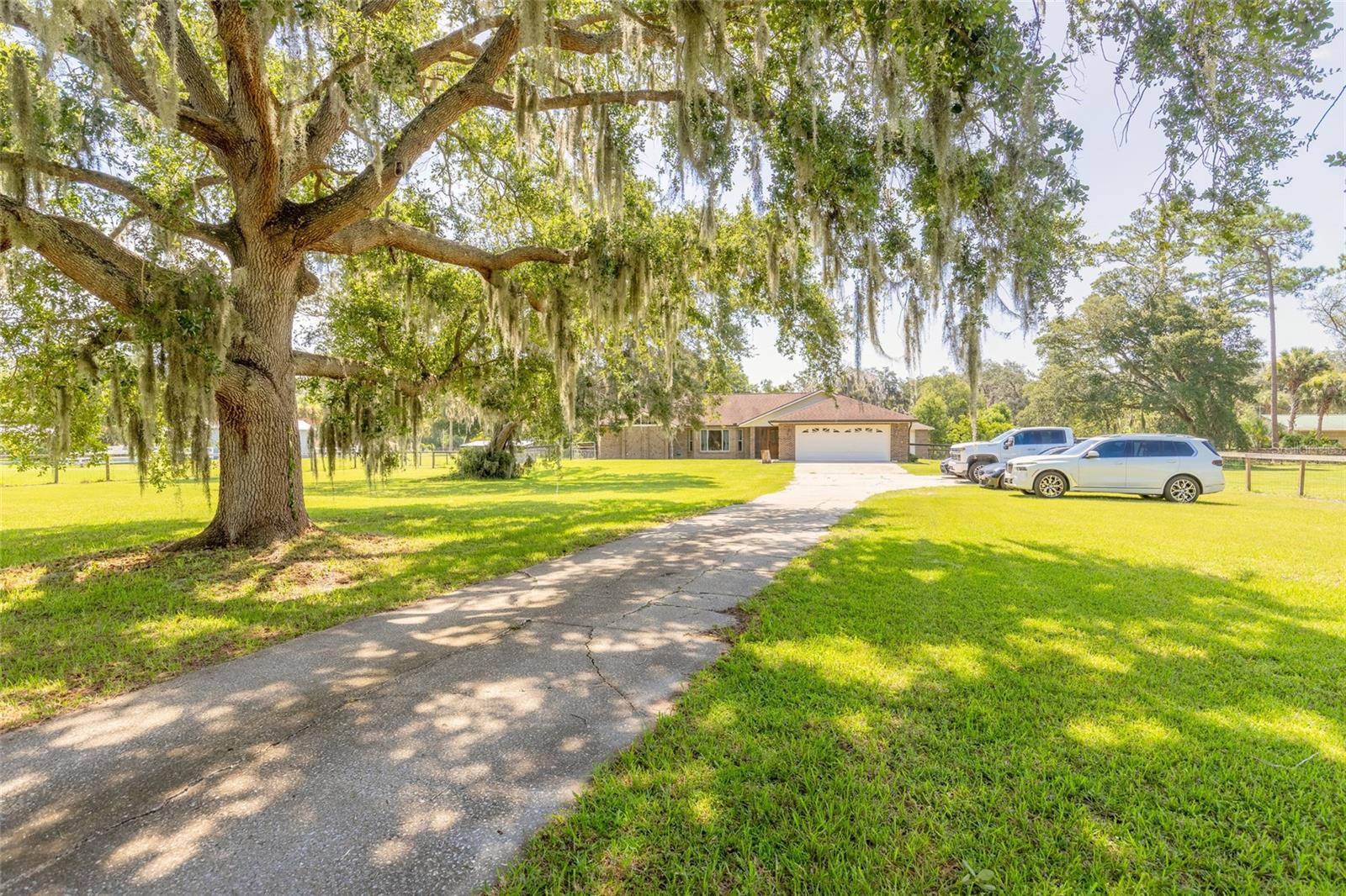 1389 WILLIAMS ROAD