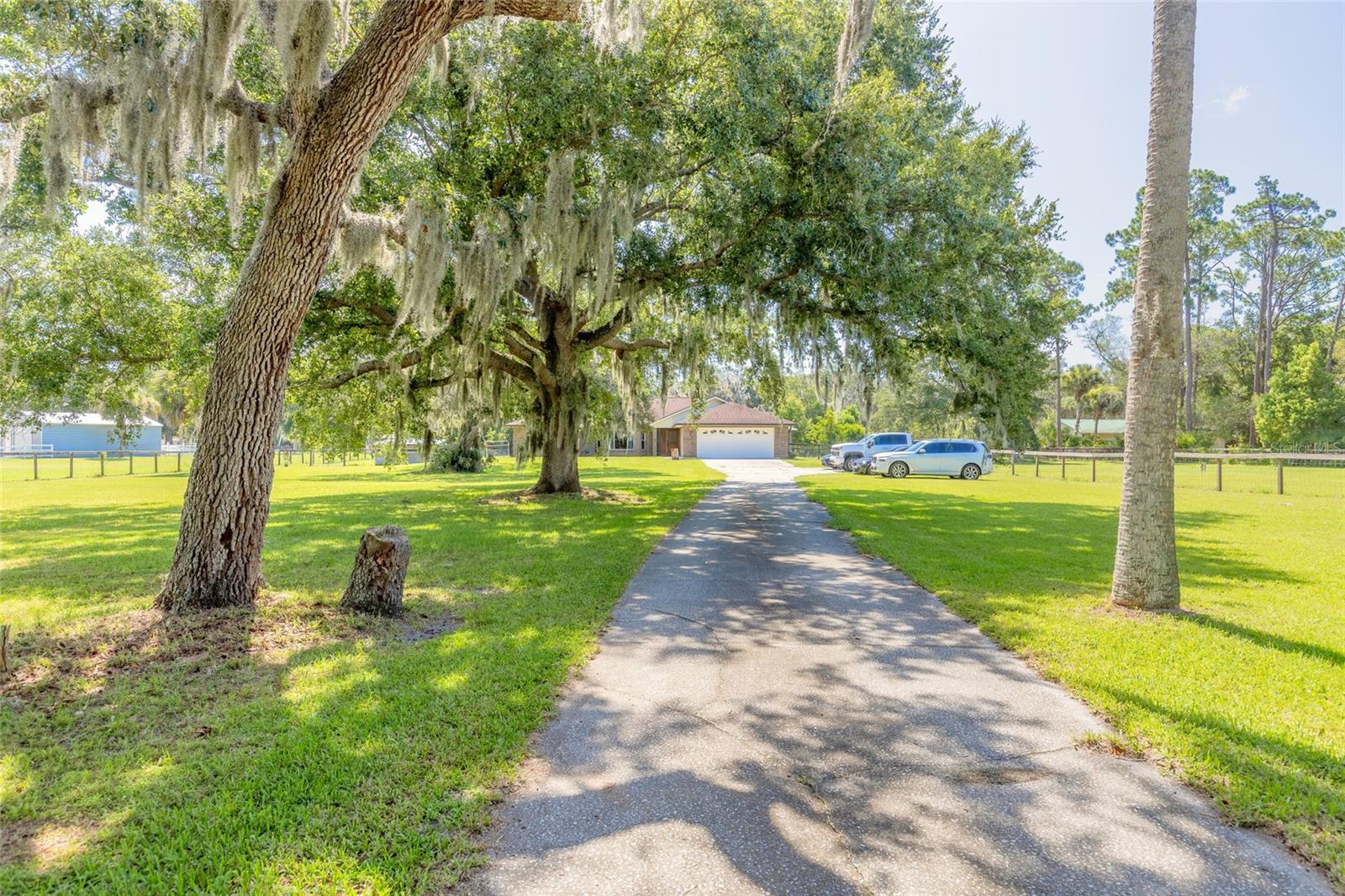 1389 WILLIAMS ROAD